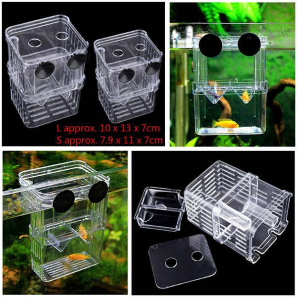 Acrylic Fish Breeding Isolation Box Fish Tank Aquarium Pet Supplies 2 ...