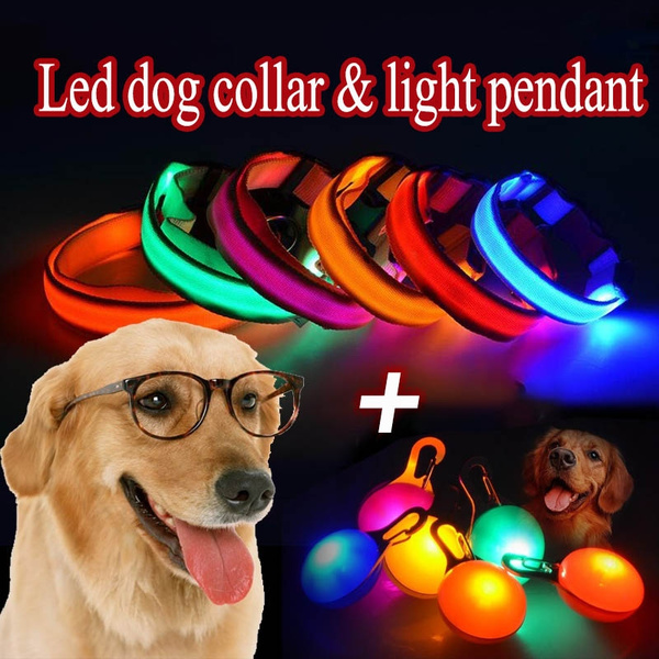 dog light pendant