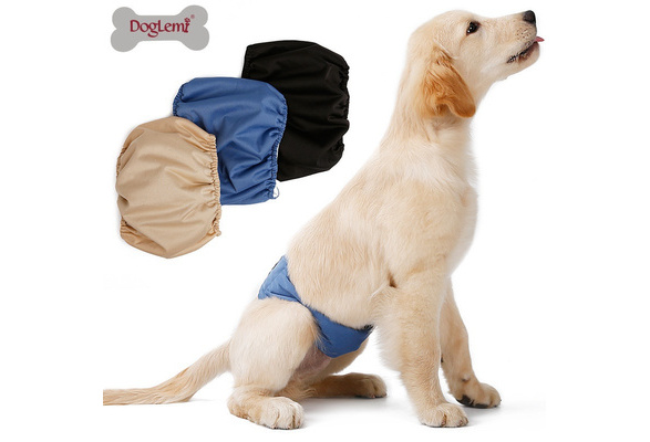 pet parents washable dog belly bands