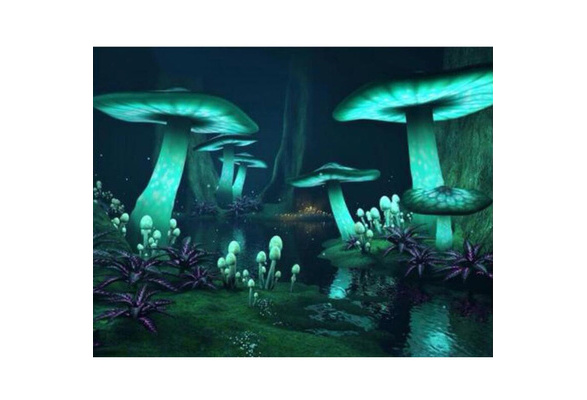 Magic Mushroom Fantasy Dark Forest Glow DIY Diamond Painting Cross Stitch  Embroidery Rhinestone Full Rhinestone Wall Art Crafts