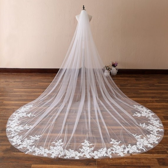 plain wedding dress with lace veil