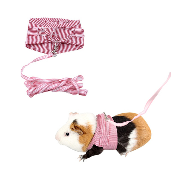 Guinea pig walking outlet harness