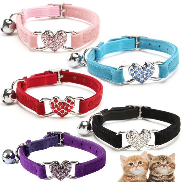 elastic dog collar