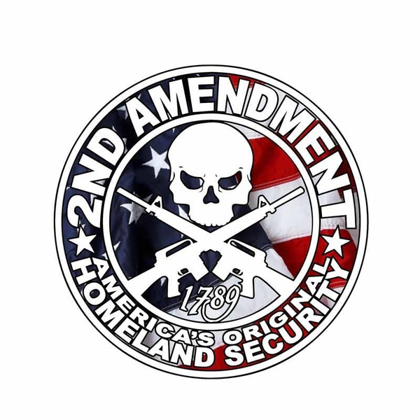 2 Pack! 2nd Amendment Punisher Skull American Flag Decal Sticker Gun Truck