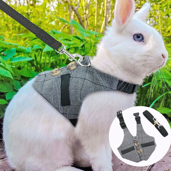 Multipurpose Rabbit Harness Small Pet Leash Chinchillas Guinea Pig Vest Clothes 