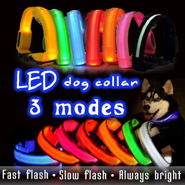 sport dog collar light