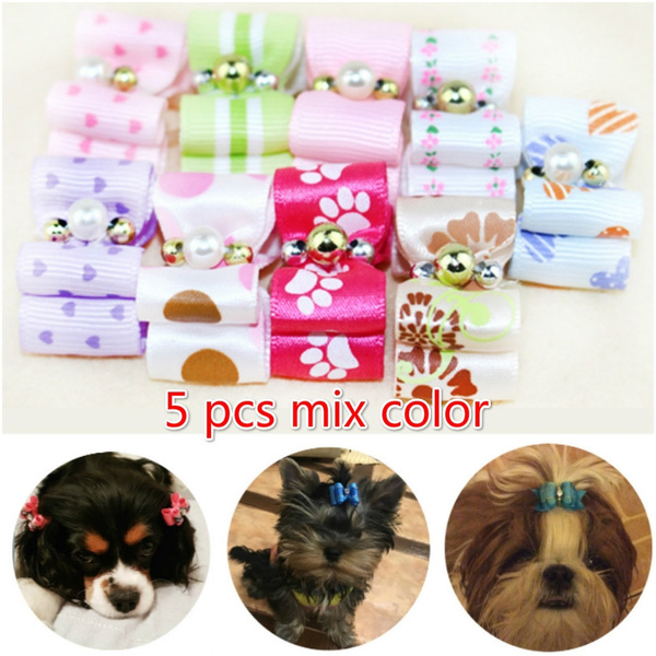 mini dog accessories