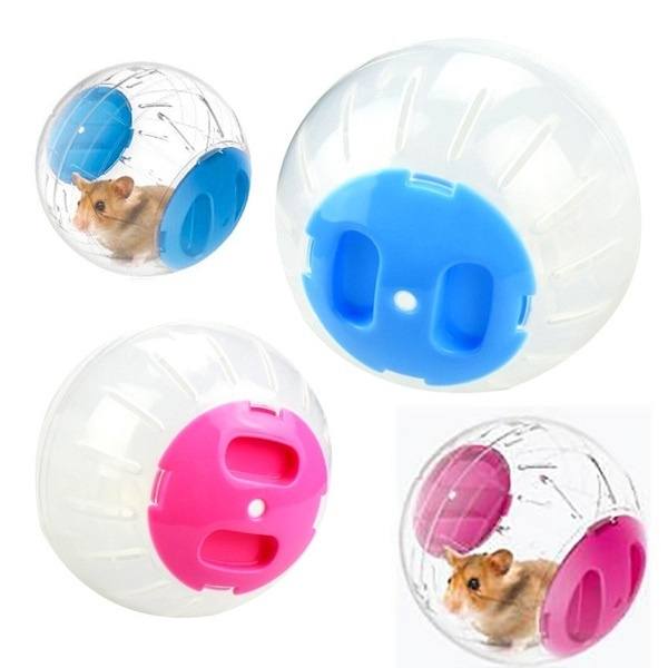 Hamster ball clearance for dogs