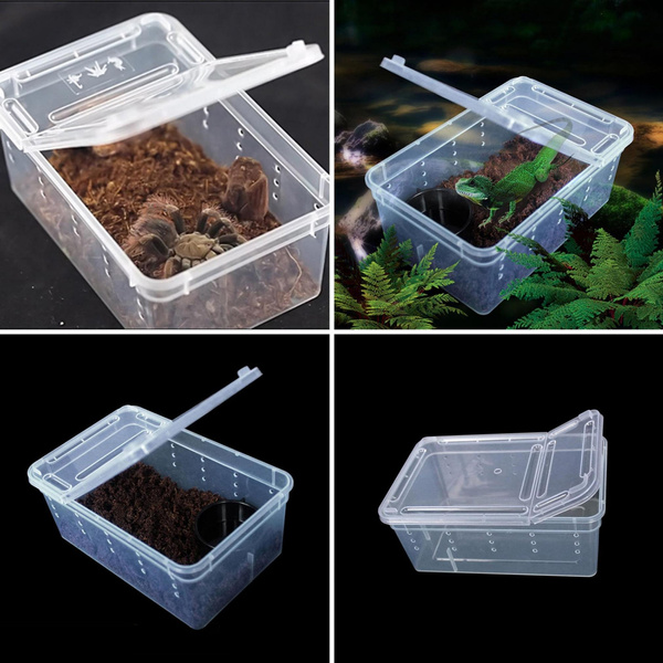 Plastic Amphibian Insect Reptile Breeding Box Transport Feeding Case Goodish 