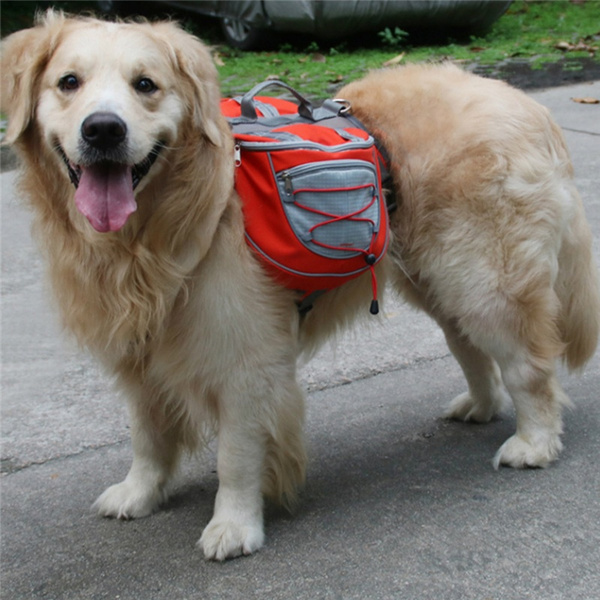 large dog saddle bolsas
