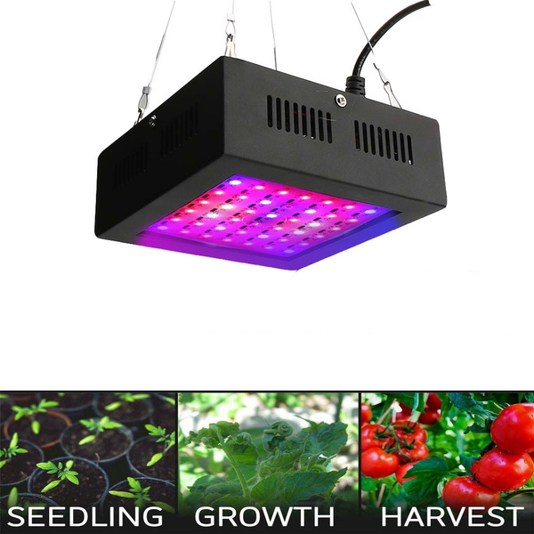 300W LED Full Spectrum Indoor Plant Growing Lamp Panel For Indoor ...