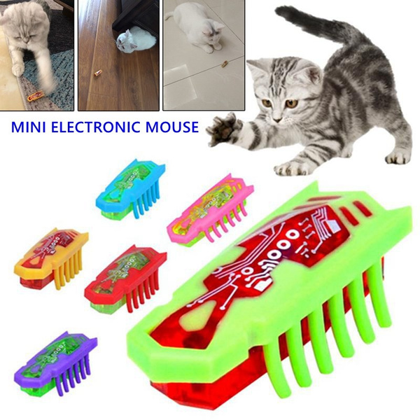 Robot bug cheap cat toy