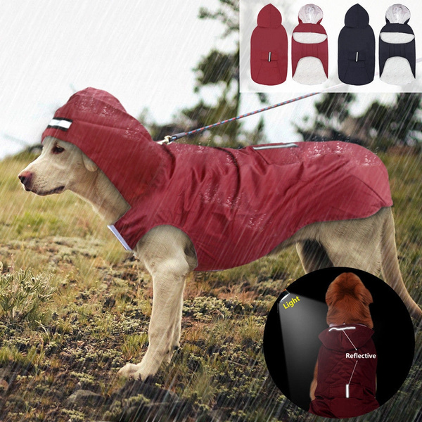 large dog waterproof coat