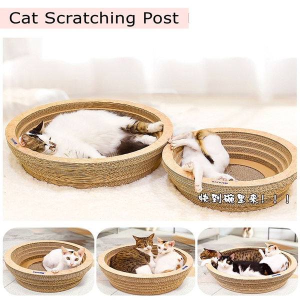 cat scratching bowl