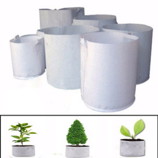Bonsai, flowerpotsplanter, Plantas, Exterior