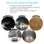 thumbnail - 1