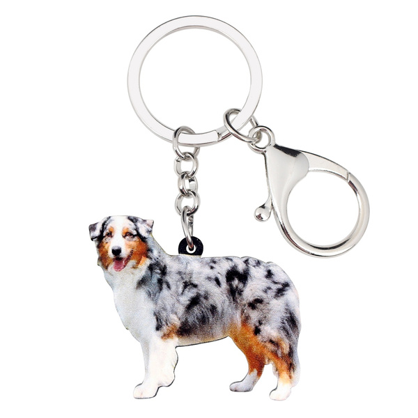 australian shepherd ring
