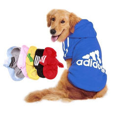 dog clothing, dog winter clothes, dog coat, puppy