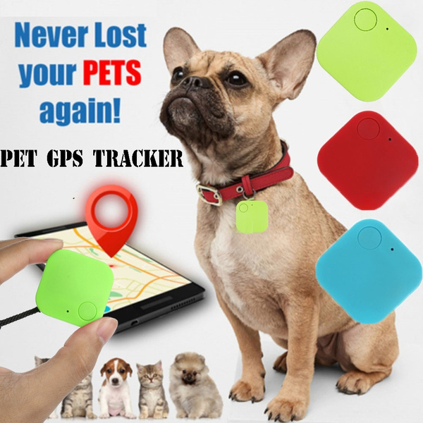 Vehicle dog clearance tracker