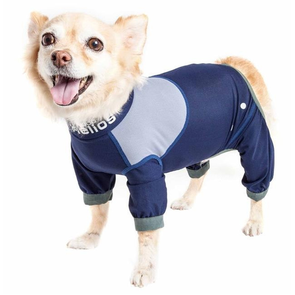 dog jogging suit