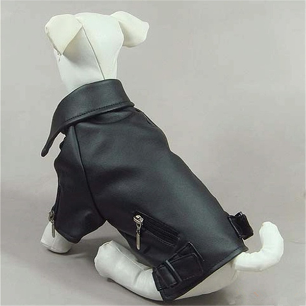 Dog leather hotsell jacket costume