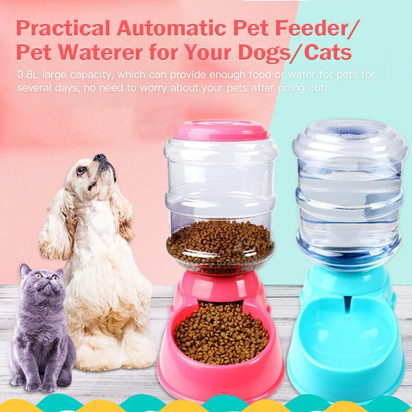 self feeding pet feeder