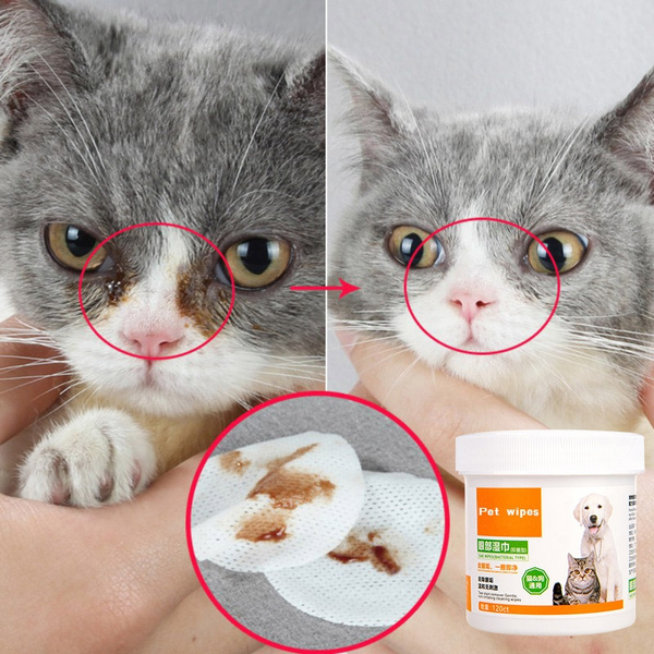 Cat shop eye wipes