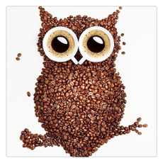 Owl, Coffee, DIAMOND, Wall Art