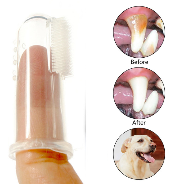 Tiny dog clearance toothbrush