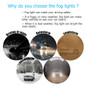 thumbnail - 1