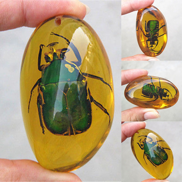 Beautiful Amber beetle Fossil Insects Manual Polishing 