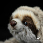 thumbnail - 8