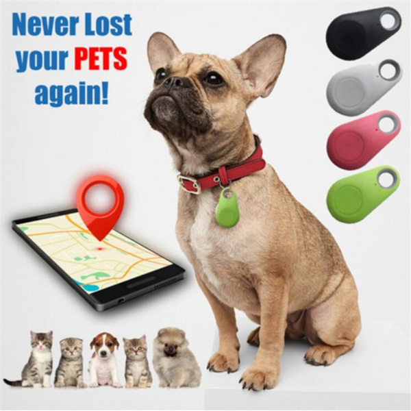 psykologi kasket repræsentant Smart Pet Tracker Mini GPS Tracker Anti-Lost for Pet Dog Cat Key Finder |  Wish