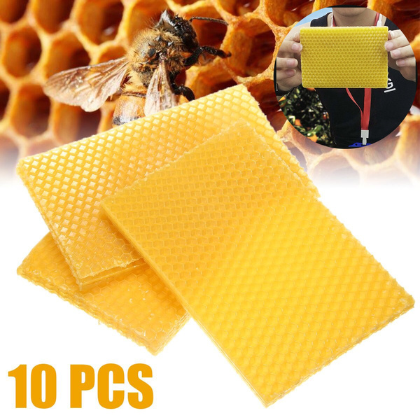 10X Honeycomb Foundation Bee Hive Wax Frames Beekeeping Equipment Sheet Tool 