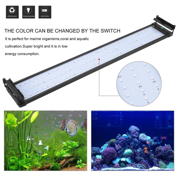 aquarium lighting uk