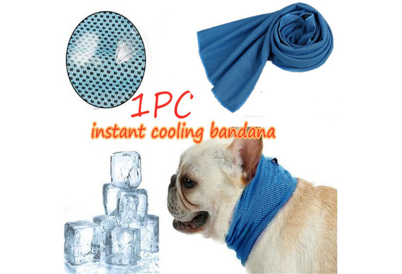 dog cooling scarf