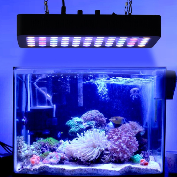 Lumiere cla60 bleu rouge utile ? 5c94ddd2f684f82aa8cf503c-large