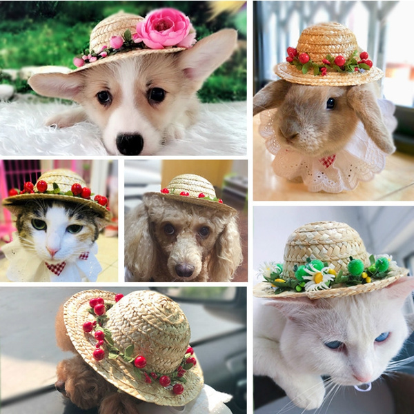 Mexican Party Hawaii Garden Sun Bucket Cap for Puppy and Kitty Adjustable Chihuahua Straw Hat POPETPOP Fashion Dog Sombrero Hat Cap 