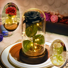 glasslampdome, eternalflower, Love, rosesglasscover