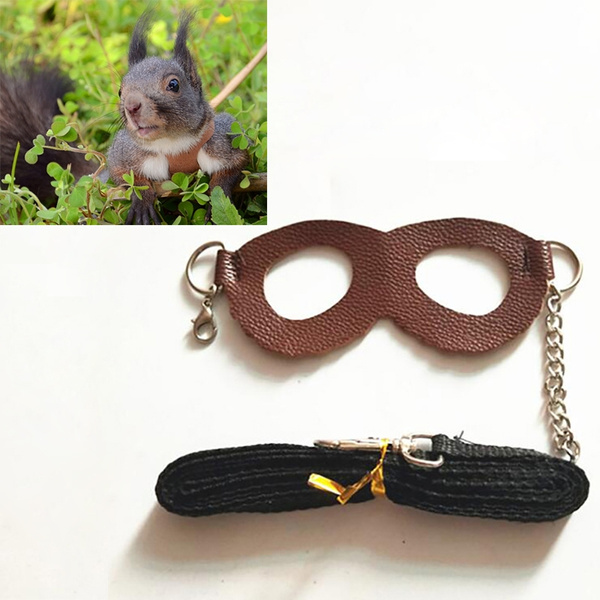 Pet Harness Adjustable Guinea Pig Hamster Training Walking Leather Leash 