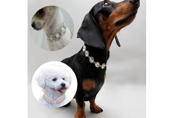 Diamond collar store necklace for dogs