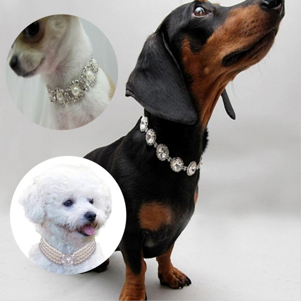 Bling Rhinestone Pearl Necklace Dog Collar Alloy Diamond Puppy Collars Dog  Accessories