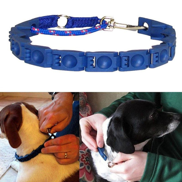perfect dog command collar