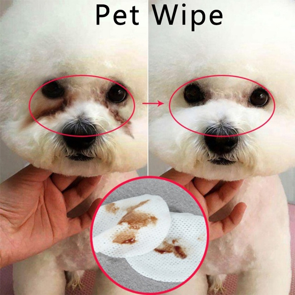 puppy grooming supplies