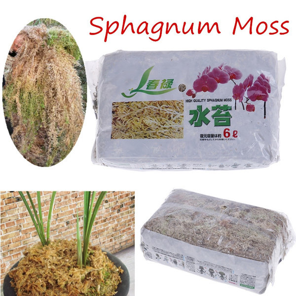 6L Natural Sphagnum Moss Orchid Potting Mix for Orchid Gardening