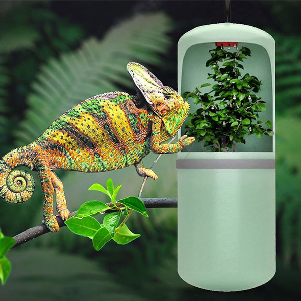 lizard water dripper