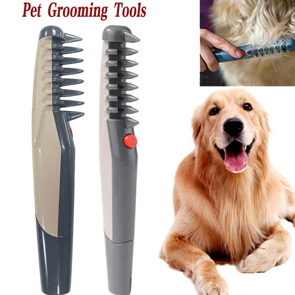 motorized dog brush