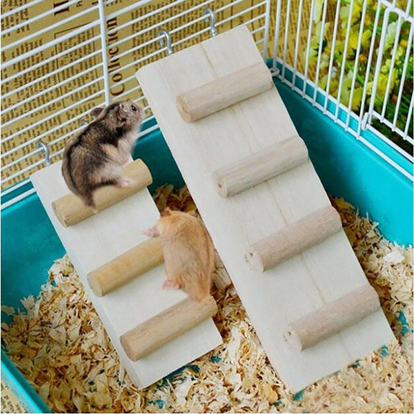 guinea pig climbing cage