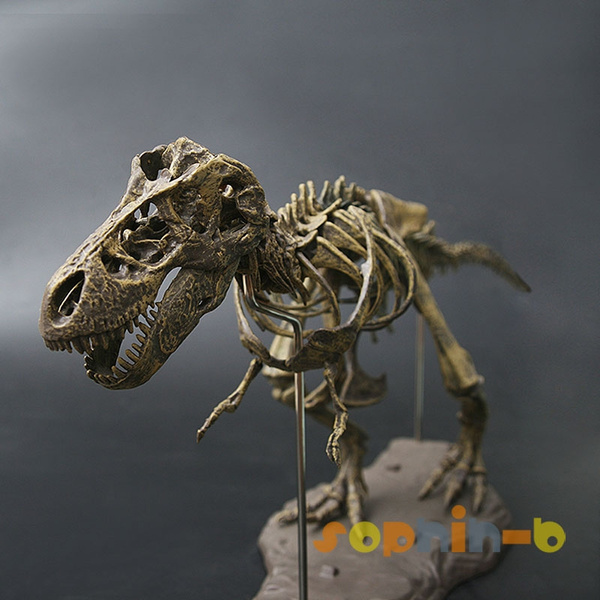 anatomy t rex toy