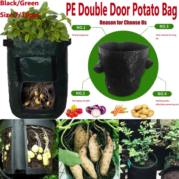 7 10 Gallons Pe Double Door Plant Bag Garden Potato Bag With Handles Pe Planting Grow Bag Vegetables Planter Glow Bags Wish 7 10 Gallons Pe Double Door Plant Bag Garden Potato Bag With Handles Pe Planting Grow Bag Vegetables Planter Glow Bags Wish